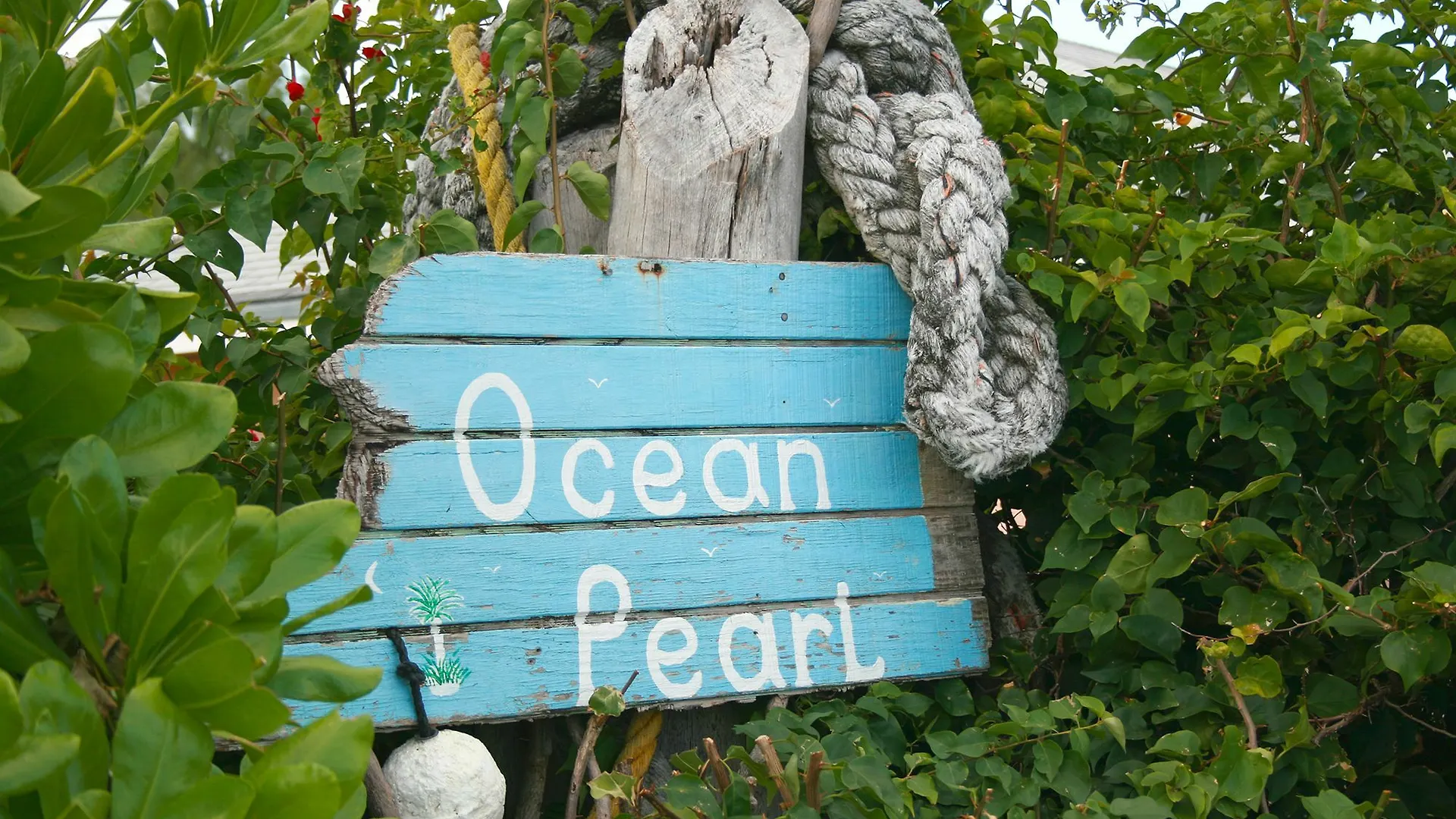Ocean Pearl Bonefishing Resort High Rock